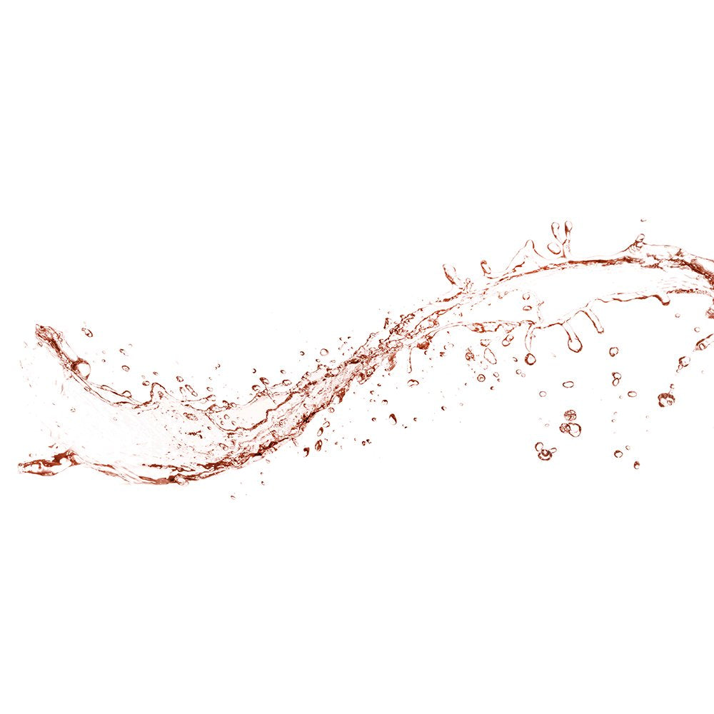 Rose Water Facial Spray with Aloe Vera, 2 Oz